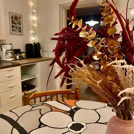 Aron Hill 로바니에미